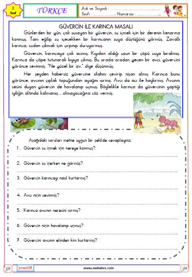 2. Sınıf Türkçe Okuma ve Anlama Etkinliği ( Güvercin ile Karınca )
